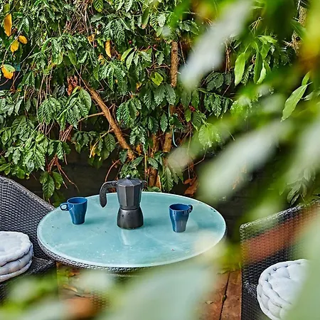Oasis Fataga